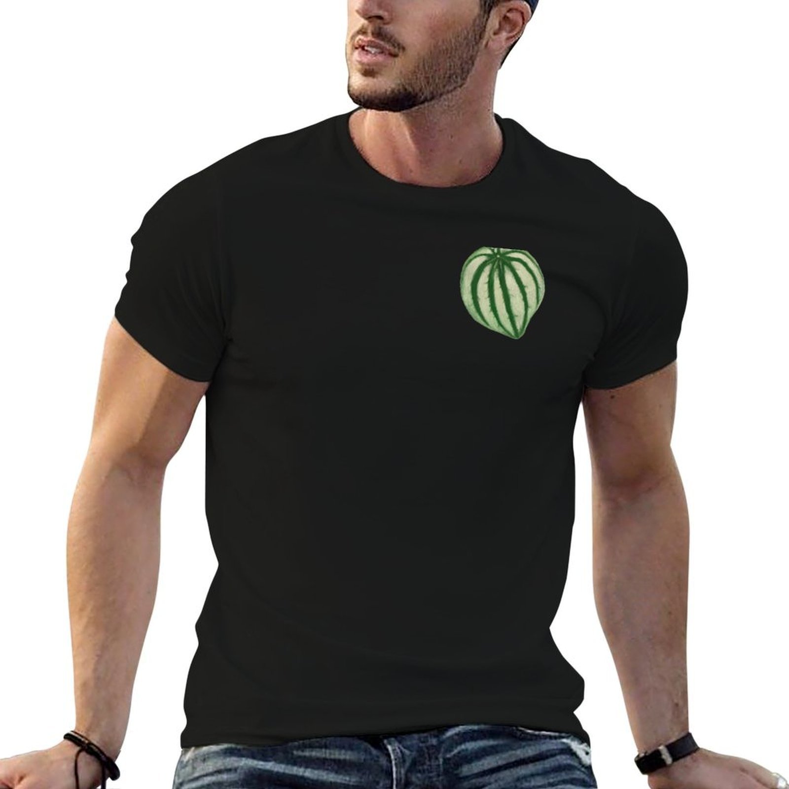 Watermelon Peperomia T-Shirt D - Peperomia Watermelon review and price