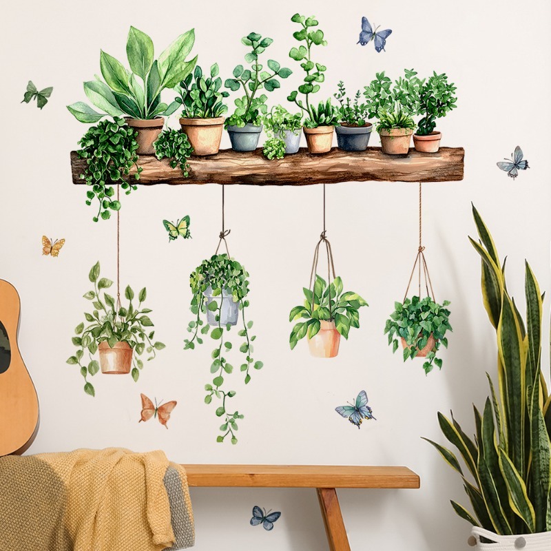 3D Potted Green Plant Shelf Wa - Echeveria Succulent review and price