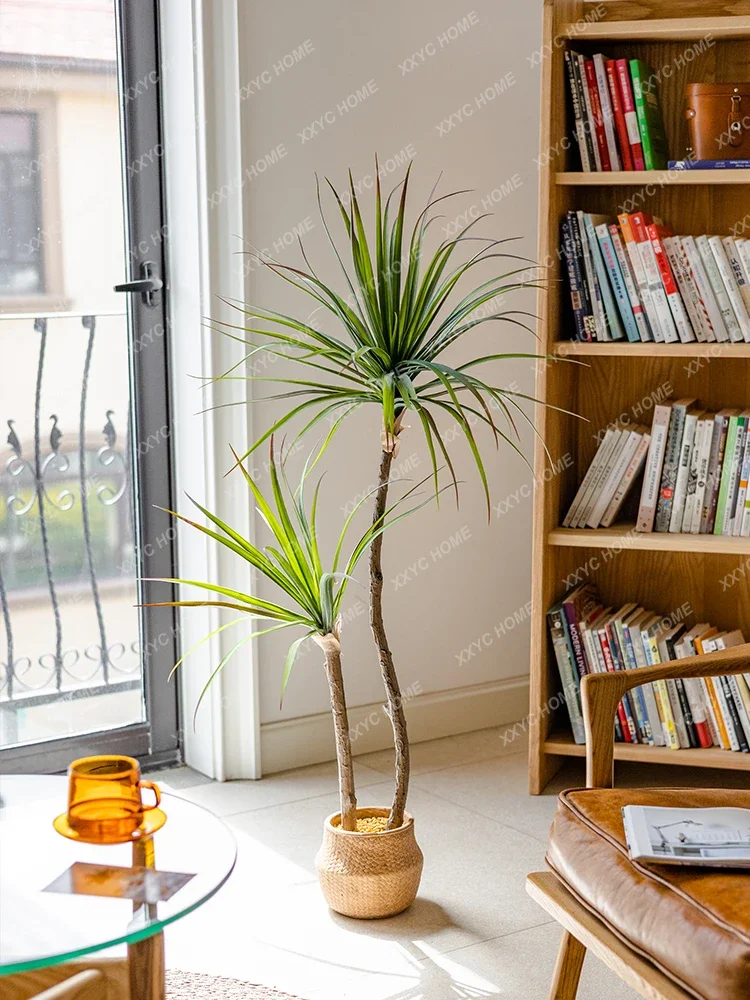 Light Luxury Simulation Green  - Dracaena Marginata review and price