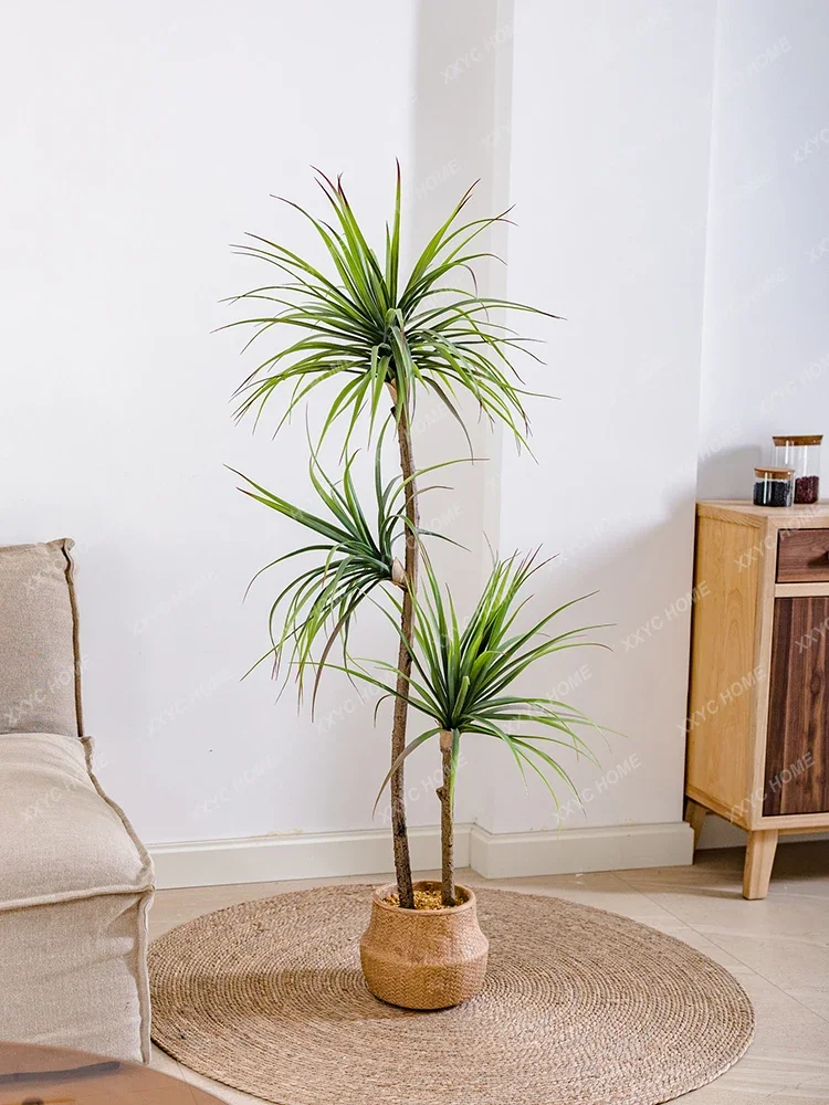 Light Luxury Simulation Green  - Dracaena Marginata review and price
