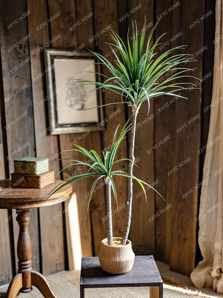 Light Luxury Simulation Green  - Dracaena Marginata review and price