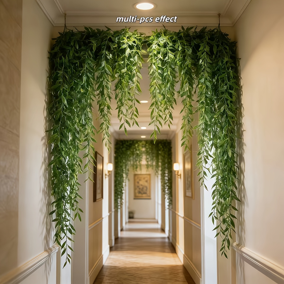 10pcs Extra-Long Deluxe Willow - Dracaena Marginata review and price