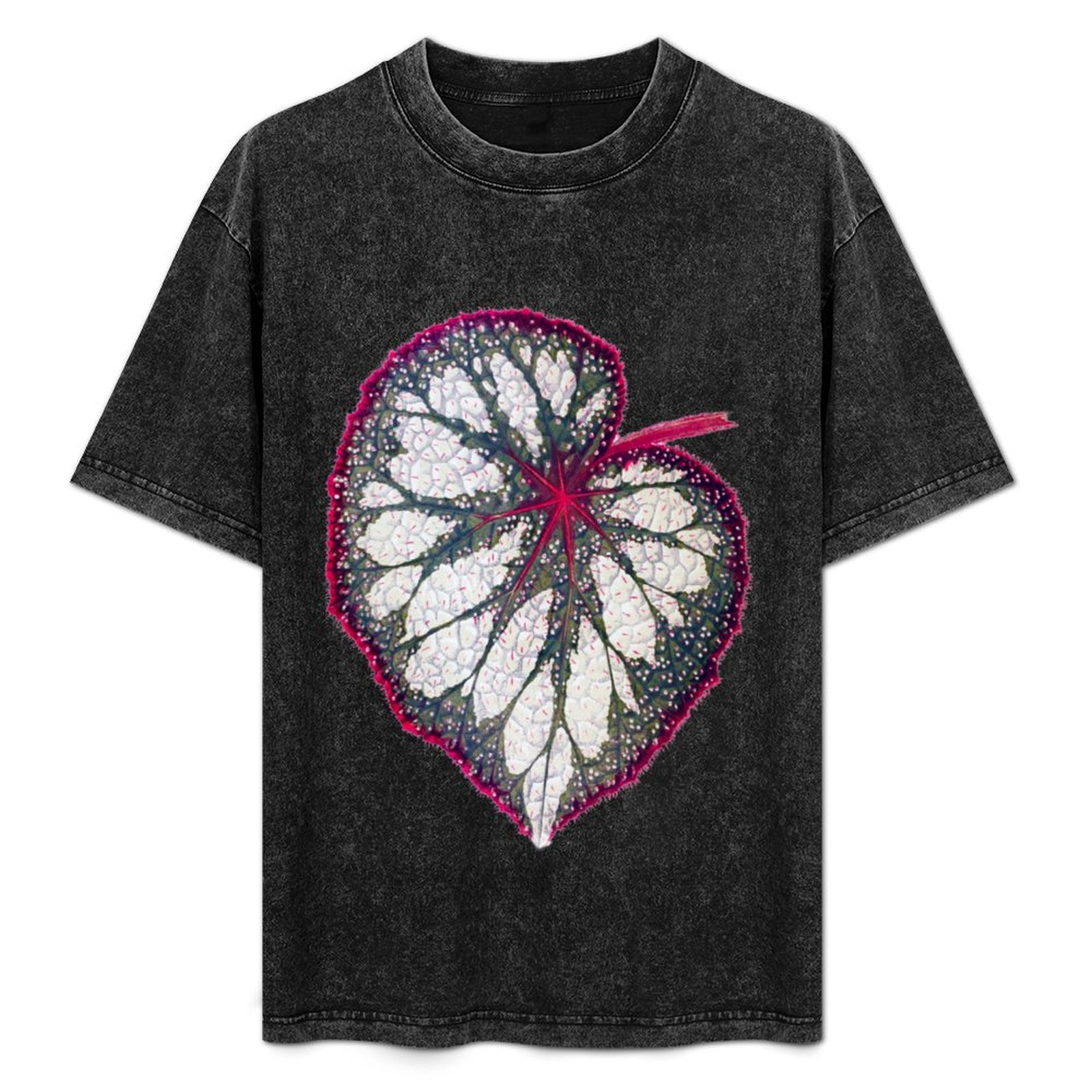 Begonia rex T-Shirt Holiday Si - Begonia Rex review and price