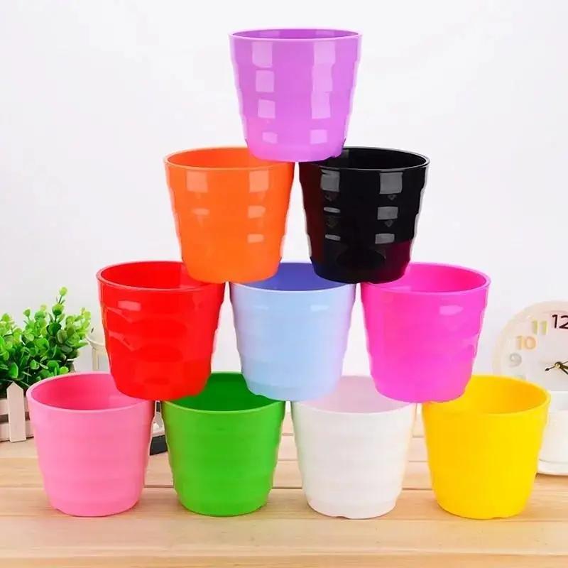 1 Pcs Plastic Flower Pot Succu - Echeveria Succulent review and price