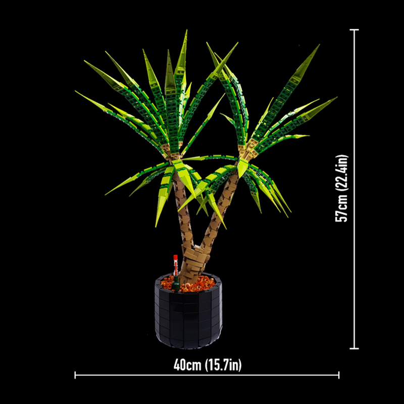 1961pcs MOC Dracaena Marginata - Dracaena Marginata review and price