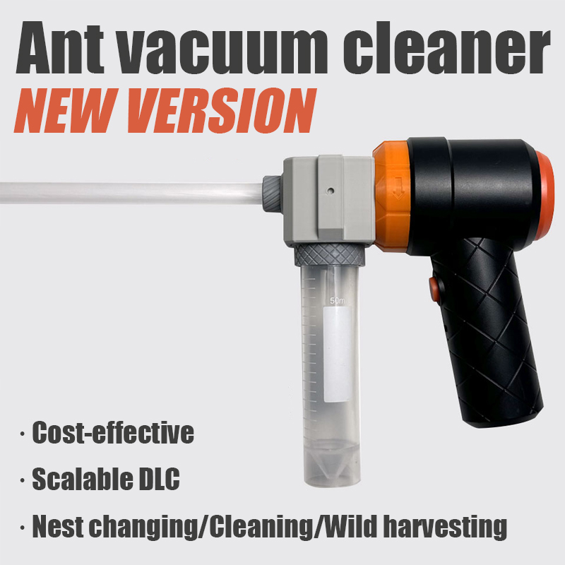 Ant Farm Collection Tool Ants  - Begonia Rex review and price