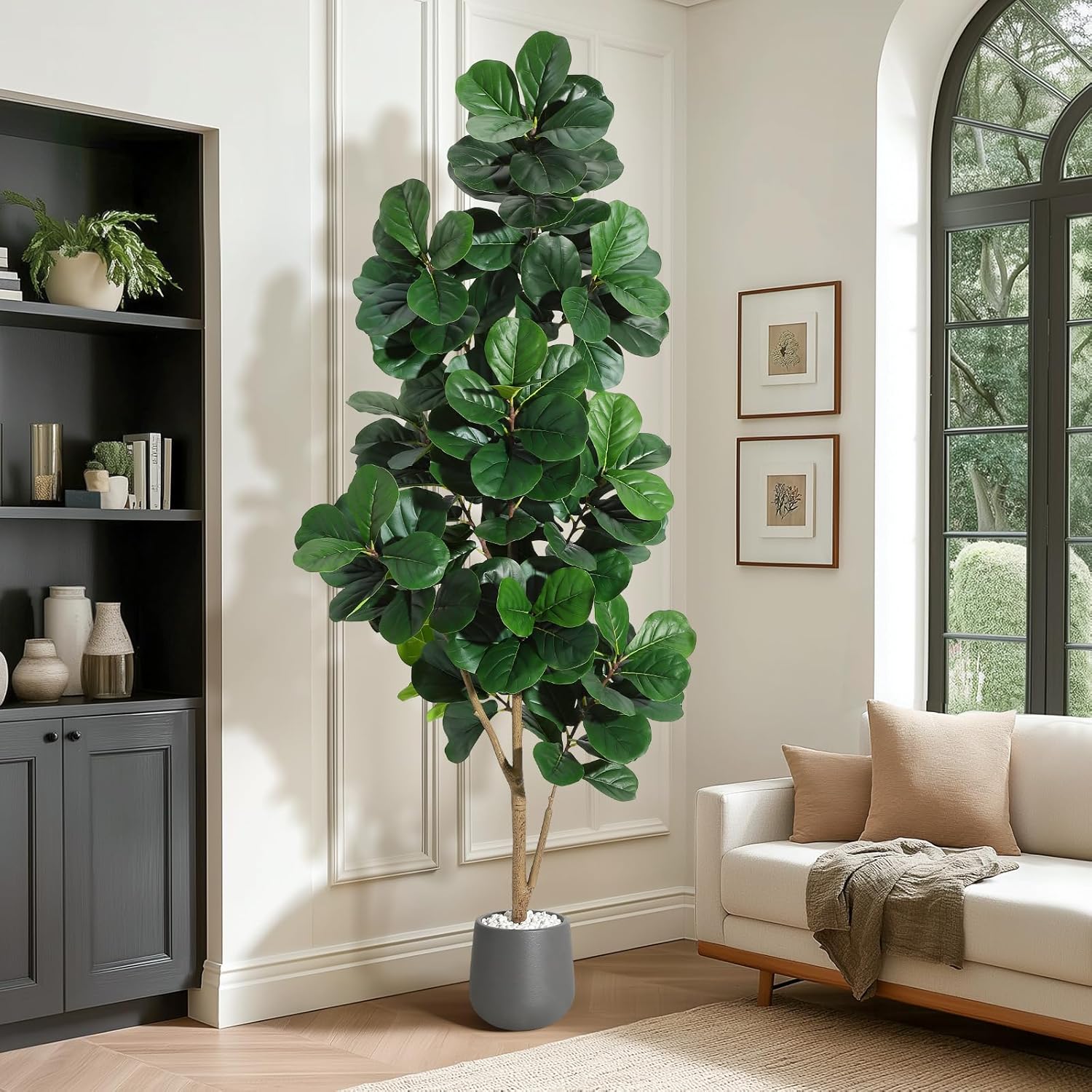 4FT/5FT/6FT/7FT Fiddle Leaf Fi - Ficus Lyrata Tree review and price