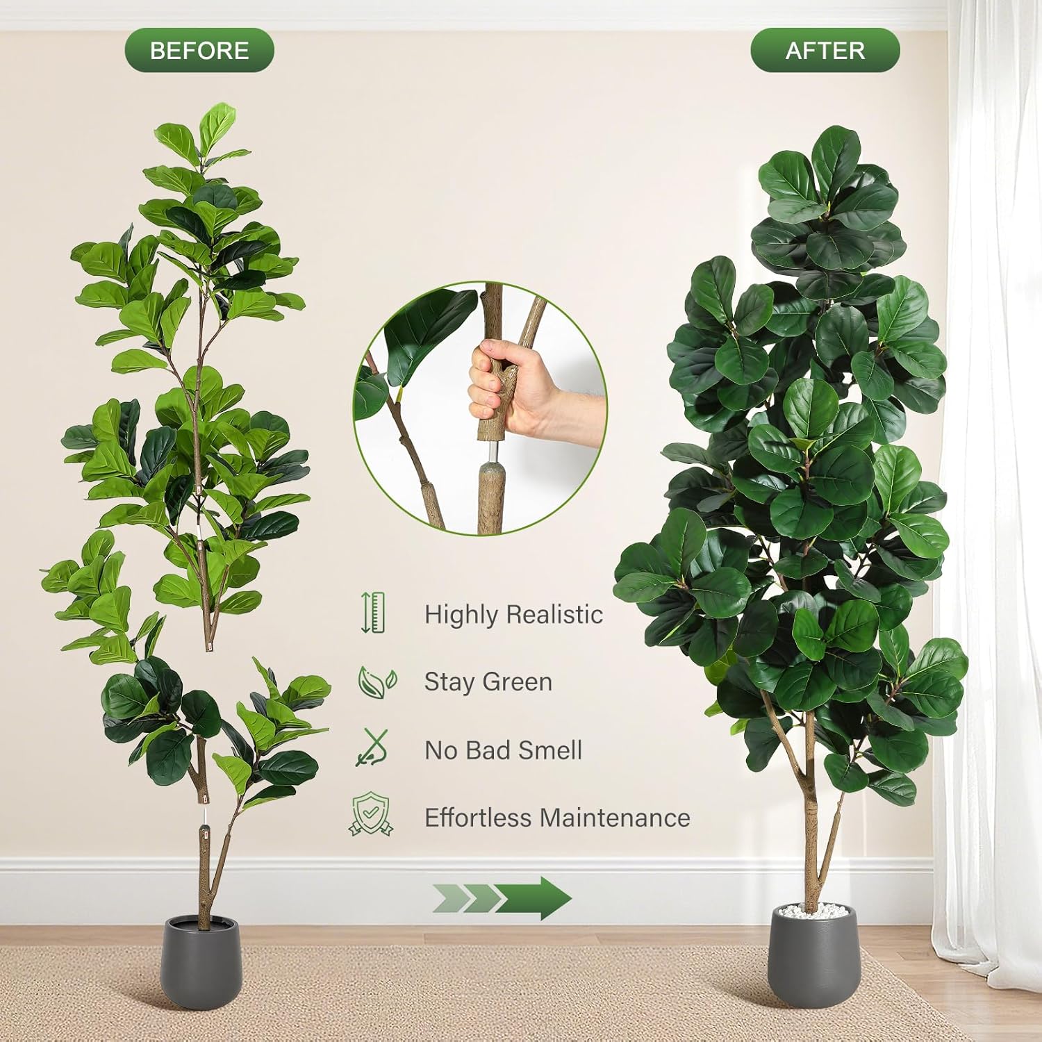 4FT/5FT/6FT/7FT Fiddle Leaf Fi - Ficus Lyrata Tree review and price