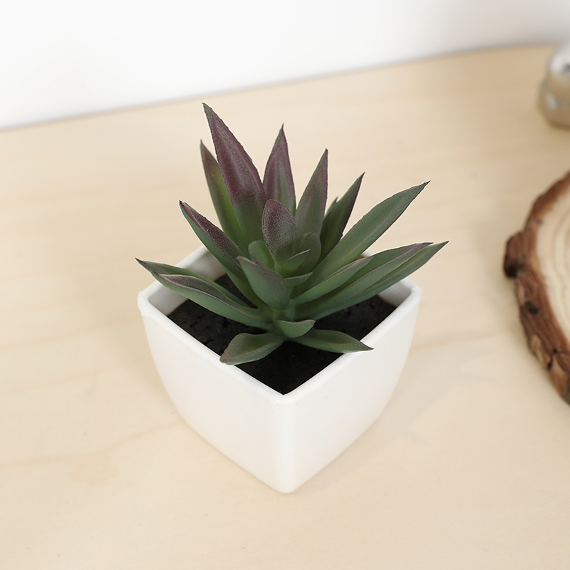 Mini Artificial Succulent Fair - Echeveria Succulent review and price