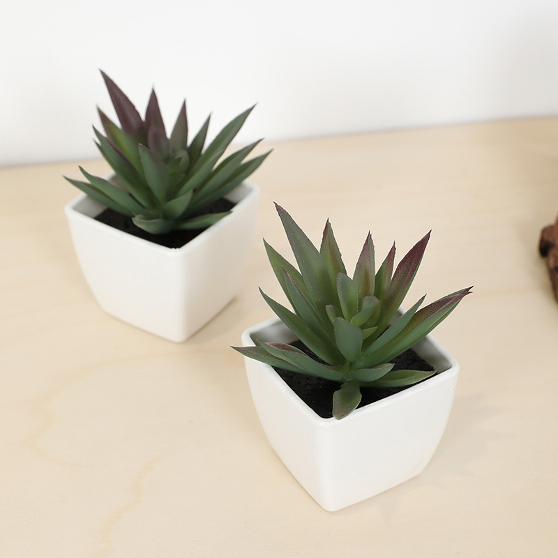Mini Artificial Succulent Fair - Echeveria Succulent review and price