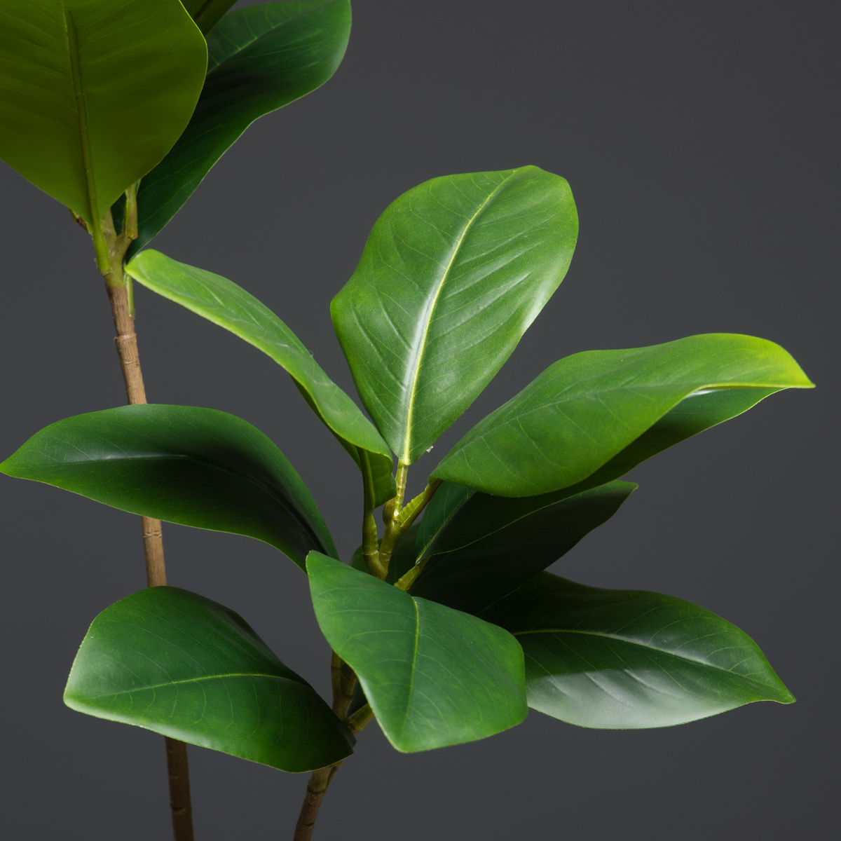 105cm 2 Forks Large Artificial - Dracaena Marginata review and price