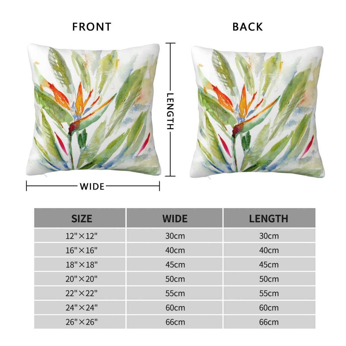 Bird Of Paradise Strelitzia Sq - Bird Paradise Strelitzia review and price