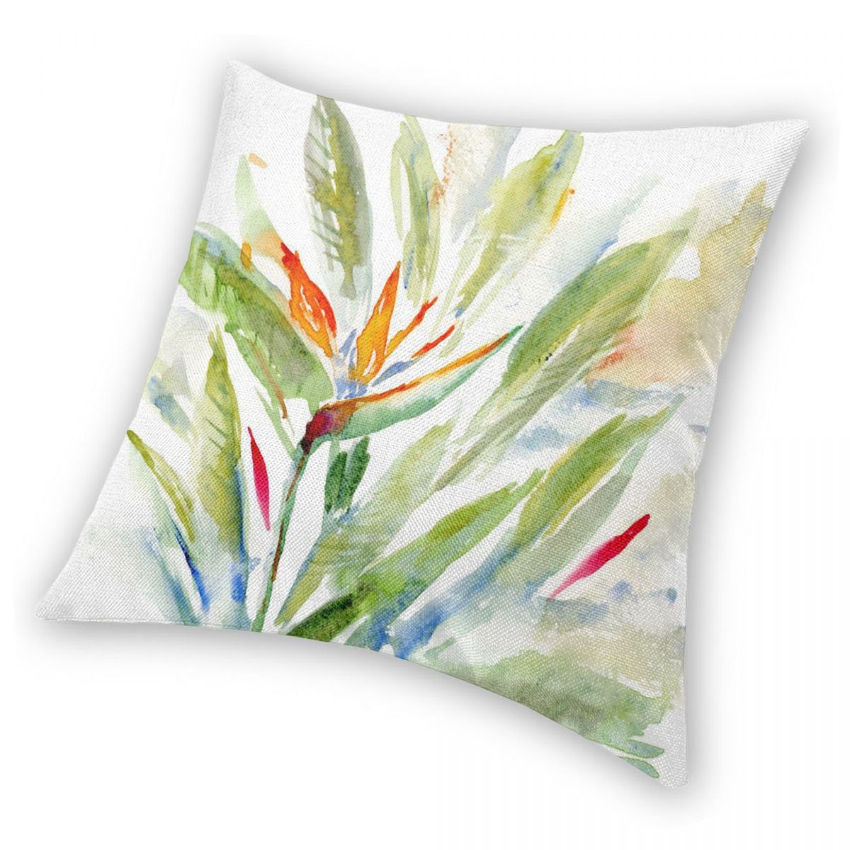 Bird Of Paradise Strelitzia Sq - Bird Paradise Strelitzia review and price