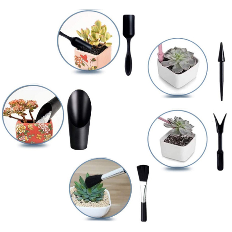 Mini Gardening Tool Set Label  - Echeveria Succulent review and price