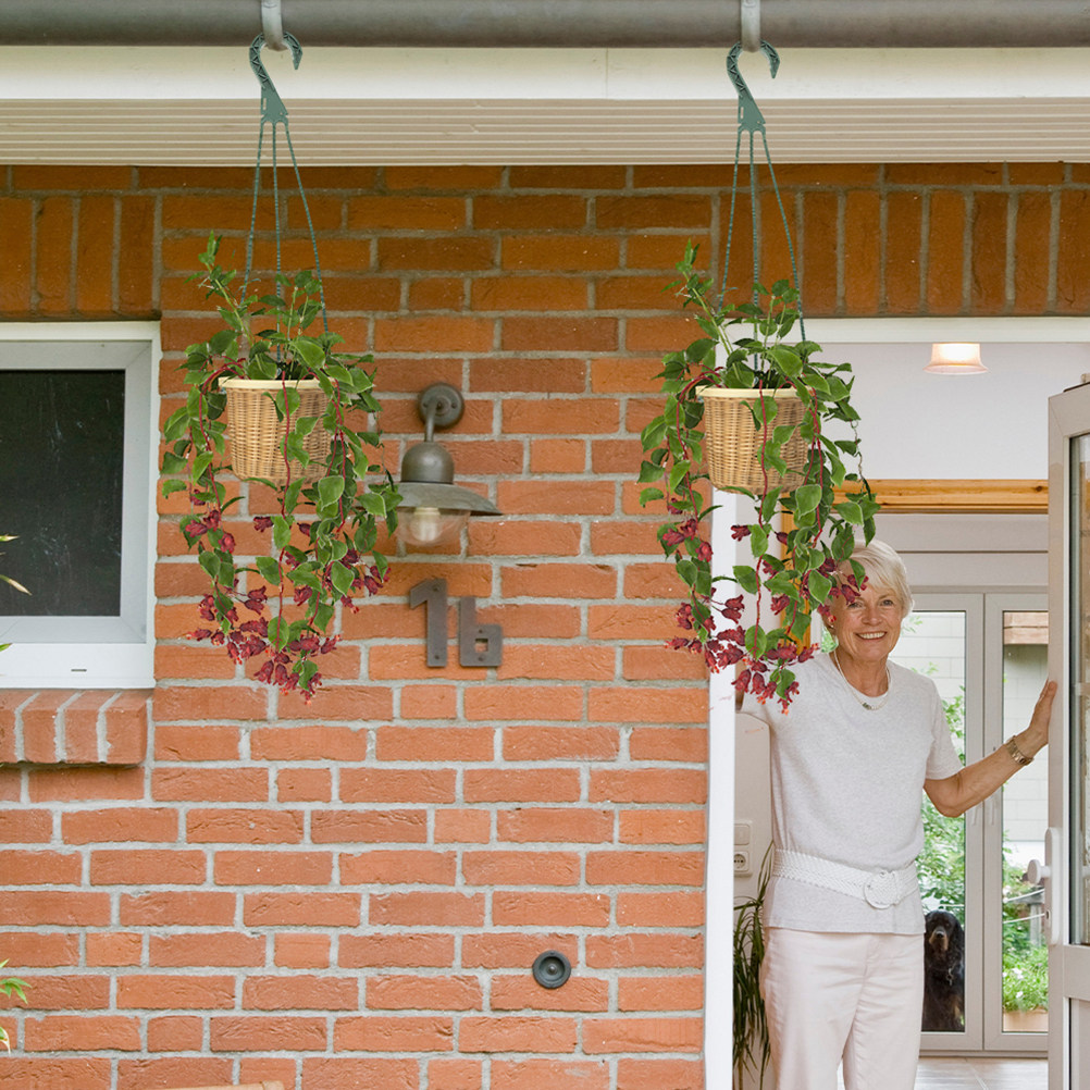 5Pcs Hanging Planter Hooks Ver - Spider Plant Hanging review and price