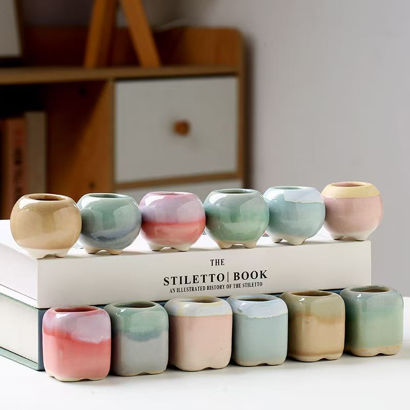 6Pcs Mini Flowerpot Succulents - Echeveria Succulent review and price