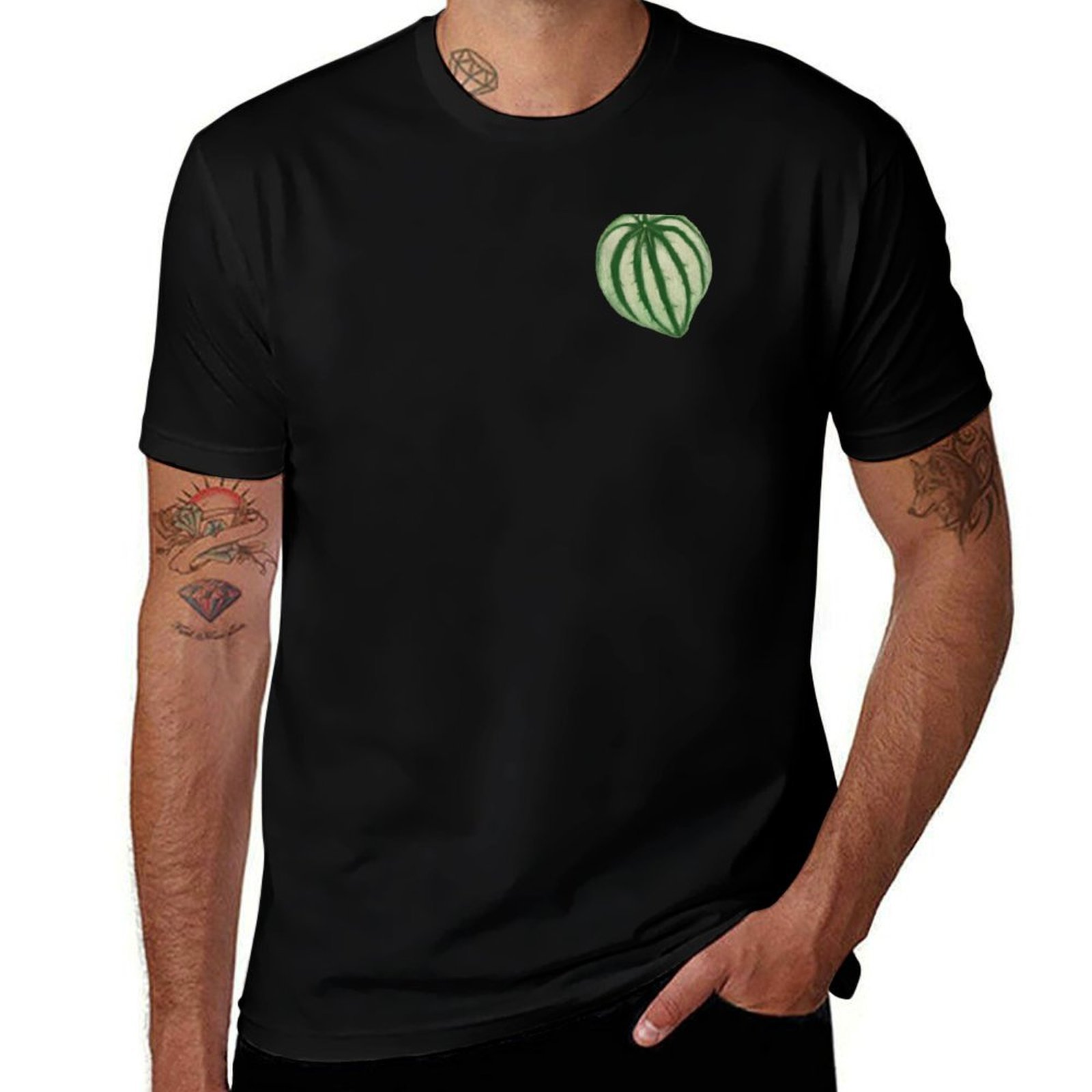 Watermelon Peperomia T-Shirt C - Peperomia Watermelon review and price