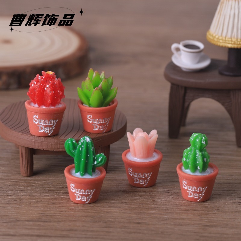5pcs Simulation succulent pott - Echeveria Succulent review and price