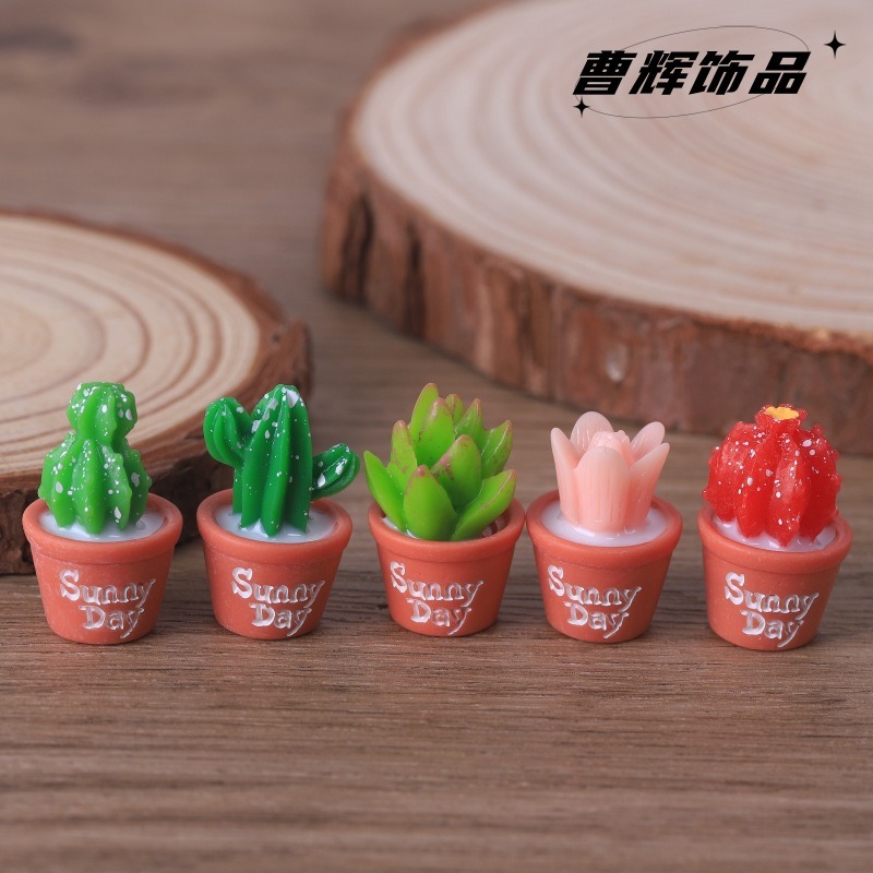 5pcs Simulation succulent pott - Echeveria Succulent review and price