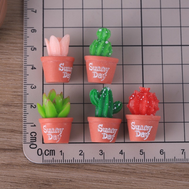 5pcs Simulation succulent pott - Echeveria Succulent review and price