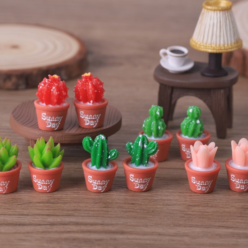 5pcs Simulation succulent pott - Echeveria Succulent review and price