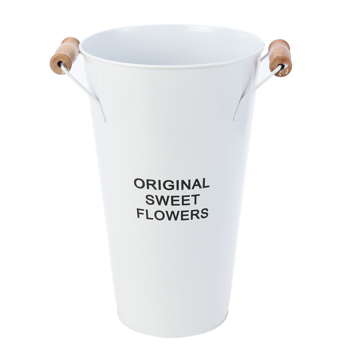 Wrought Iron Flower Vase Deskt - Aloe Vera Pot review and price